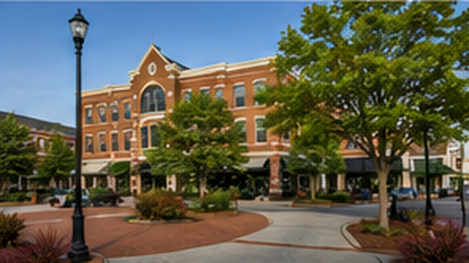 Tree service in Matthews, NC